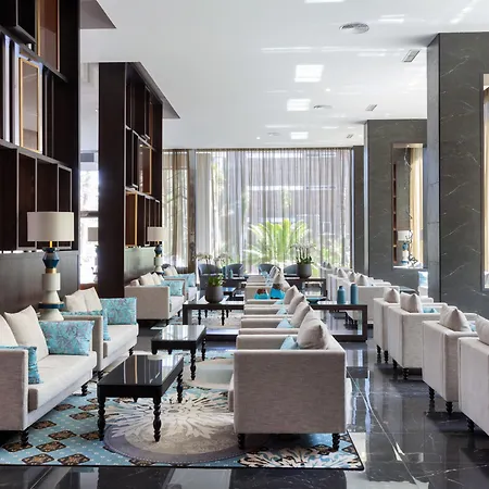 Riu Palace Oasis 酒店 马斯帕洛马斯