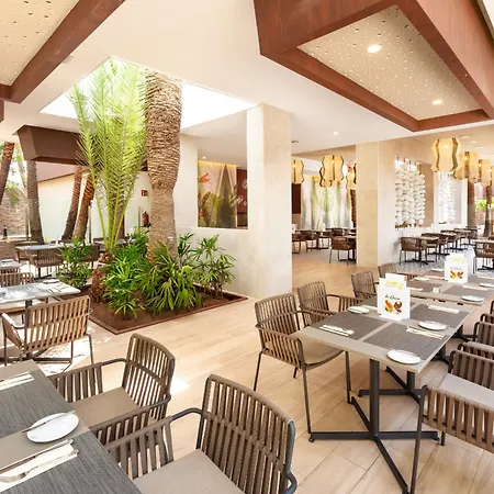 Riu Palace Oasis 5* 马斯帕洛马斯